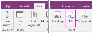 Kuvatõmmis OneNote 2016 nupust „Lisa pildid”.