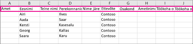 Siit saate teada, milline näeb .csv näidisfail Välja Excelis.