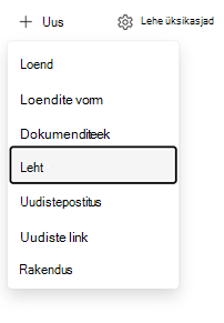 Lehe sisestuspunkti loomine