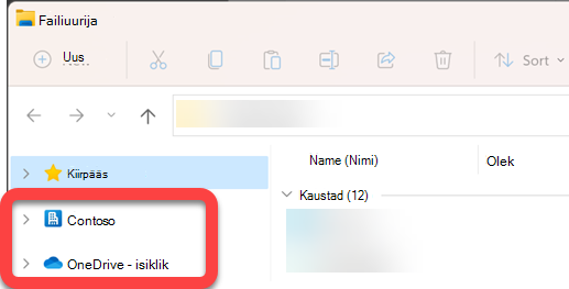 File Explorer vasakus servas asuval navigeerimispaanil on sünkroonitud SharePointi teegi ja sünkroonitud OneDrive'i ülataseme kaustad.