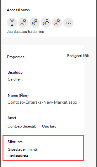 Pages detail pane with option to enter an audience