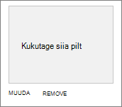 SharePoint change a look background image selection