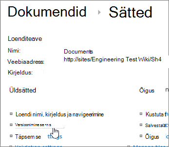 Teegisätete dialoogiboks, kus versioonimissätted on valitud.