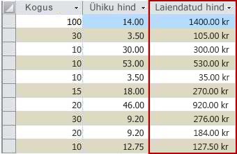 Andmelehevaates kuvatud arvutatud väli