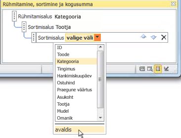 Avaldisesuvandi valimine paanil Rühmitamine, sortimine ja kogusumma