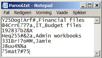 Screenshot of Notepad displaying password entries, with each password and its description separated by koma.