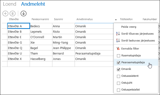 Filter options for Job Title column in datasheet