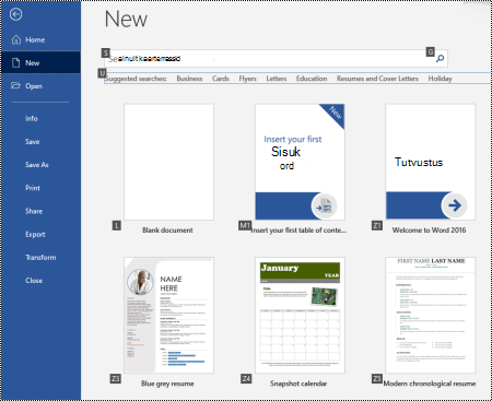 New page in the File menu of Word for Windows