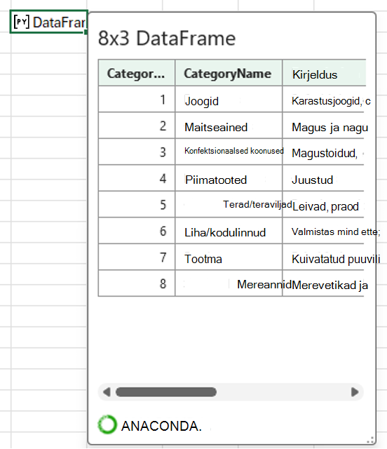 Avatud Python Exceli andmeframe-kaardil, kus on kuvatud kategooriaandmed.