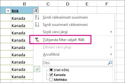 Nupp Tühjenda filter väljalt