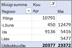 PivotTable-aruande näide