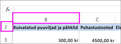 Peidetud esimene veerg ja rida