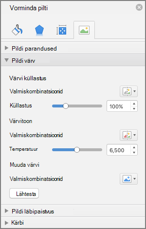 Värviküllastuse sätete reguleerimine paanil Pildi vormindamine