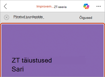 Kuvatõmmis äriribast, millel on nupp Piiratud juurdepääsuga sõnum ja õigused.