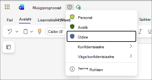 Office'i veebikomplekt tundlikkussiltide ripploend, kus näidis- ja standardsildinimedena kasutatakse Word dokumenti