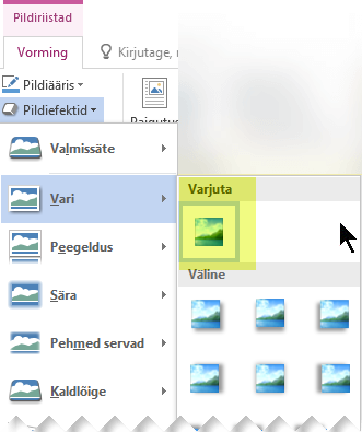 Soovimatu pildiefekti väljalülitamiseks valige suvand Efektita.