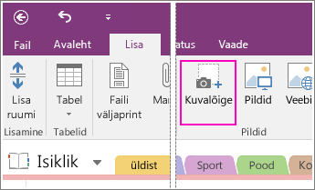 Kuvatõmmis OneNote 2016 nupust Lisa kuvalõige.