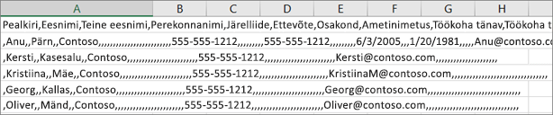 XLS-vormingus salvestatud CSV-faili näidis.