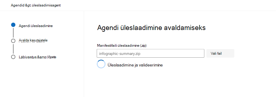 Kuvatõmmis paketi valideerimise tulemustest Microsoft 365 halduskeskus.