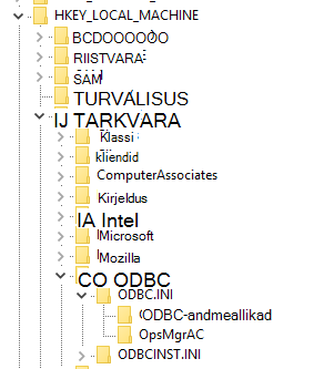  alamvõtmeODBC.INI