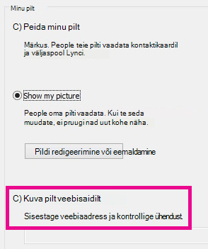 Screen shot section of Lync my picture options window with select picture from website highlghted