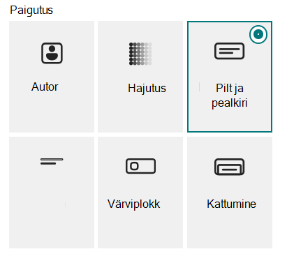 Ribaplakati veebiosa kuus paigutust