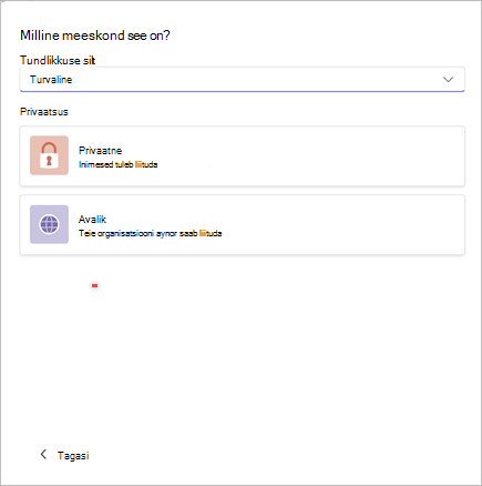 Kuvatõmmis Aknast, kus saab luua Microsoft Teamsis uue töörühma, kus on tundlikkuse tundlikkuse suvandid Turvaline ja privaatsus on kas Privaatne või Avalik.