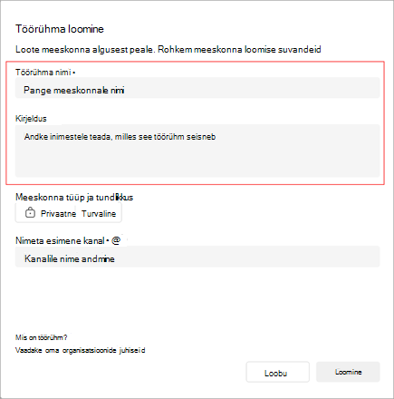Kuvatõmmis aknast Töörühma loomine. See sisaldab ala töörühma nime, kirjelduse ja tüübi lisamiseks. Samuti saate luua oma eeskanalite nime.
