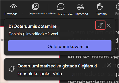 Kuvatõmmis ooteruumi teatisest, kus on esile tõstetud ikoon Vaigista need teatised.