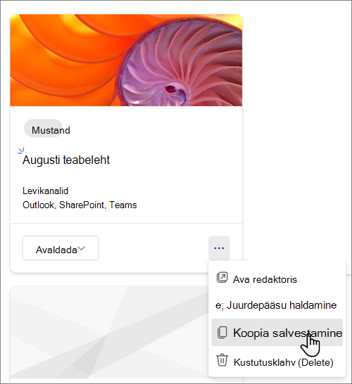 Kuvatõmmis suvandist Salvesta koopia.