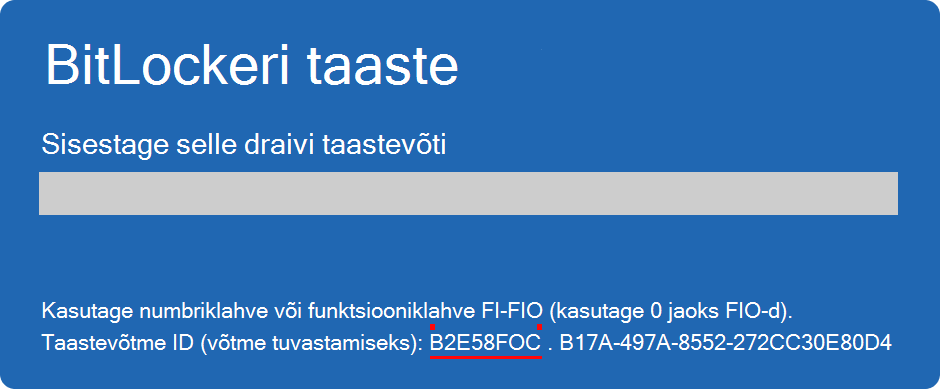 BitLockeri taastekuva kuvatõmmis, kus on esile tõstetud võtme ID.