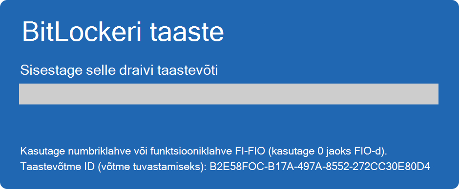 BitLockeri taastekuva kuvatõmmis.