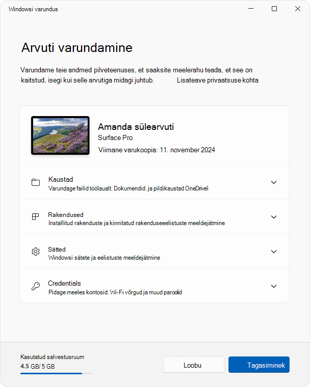 Windows 11 rakenduse Windowsi varundus kuvatõmmis.