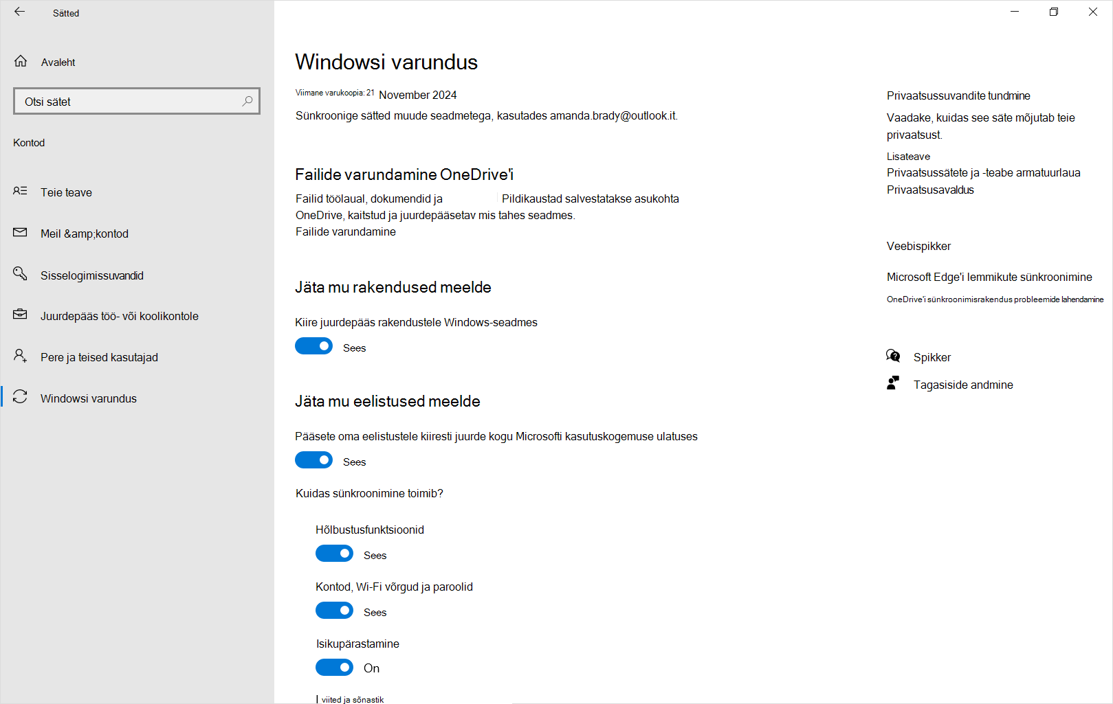 Kuvatõmmis Windowsi sätete varundamisest Windows 10.