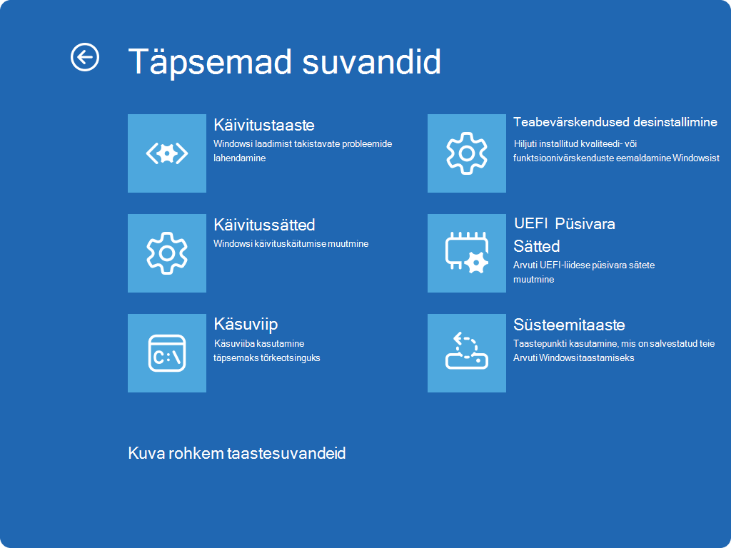 Screenshot of Windows RE - Advanced options screen.