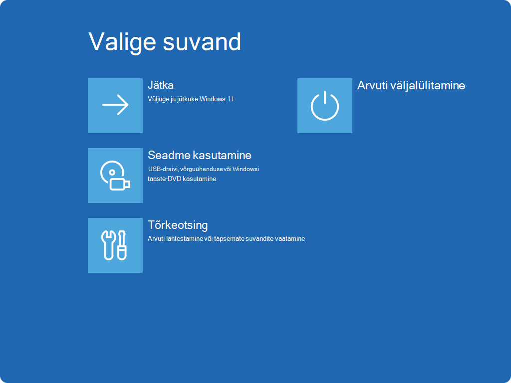 Screenshot of the Choose an option screen in Windows RE.