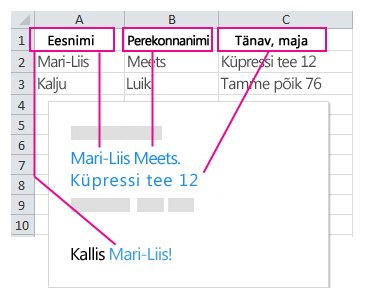 Kirjakoosteväljadele tõmmatud teave