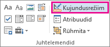 arendusrežiimi nupp Kujundus