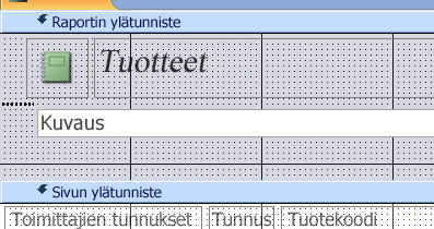 sivunvaihdon sisältävä raportti rakennenäkymässä