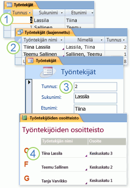 Taulukoiden tietoja käytetään kyselyssä, lomakkeessa ja raportissa