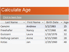 Access-mallin logo