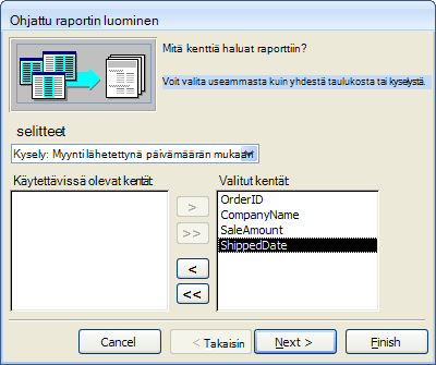 Kentän valitseminen ohjatussa raportin luomisessa