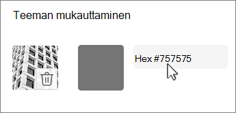 Muokkaa väriä heksa-arvona -näyttökuva