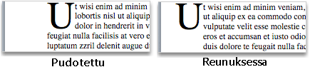 Anfangi ja Iso kirjain reunuksessa