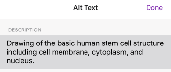 OneNote for iOS:n kuvien Vaihtoehtoinen teksti -valintaikkuna.