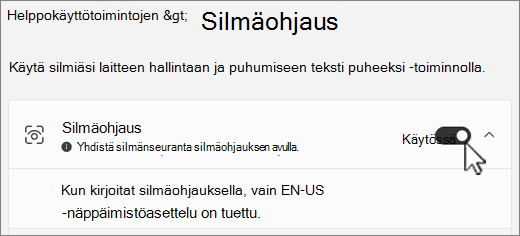 Silmäohjaus-osa Helppokäyttötoiminnot-asetusikkunassa