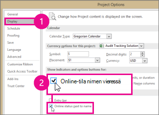 Projectin asetukset, Näytä-välilehti