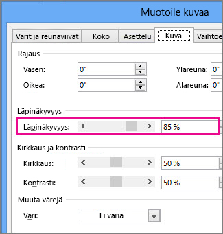 Näyttökuva Publisherin Muotoile kuvaa -valintaruudusta.