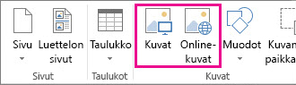 Näyttökuva Publisherin Lisää-valikon Lisää kuvat -vaihtoehdoista.