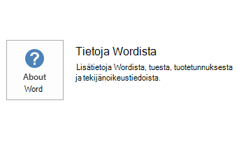 Word MSI:n näyttökuva